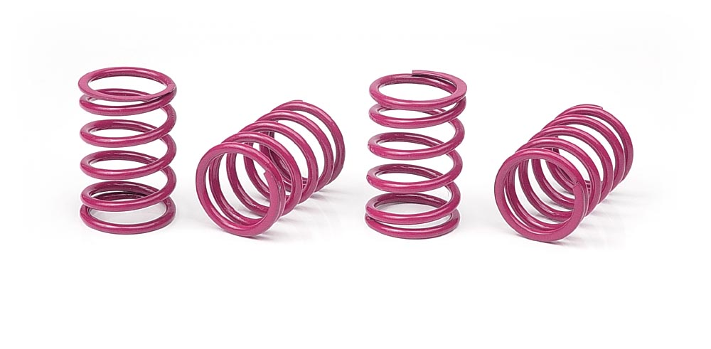 308397 - XRAY Spring-Set D=1.8 (33 LB) Purple - Medium-Hard (4)